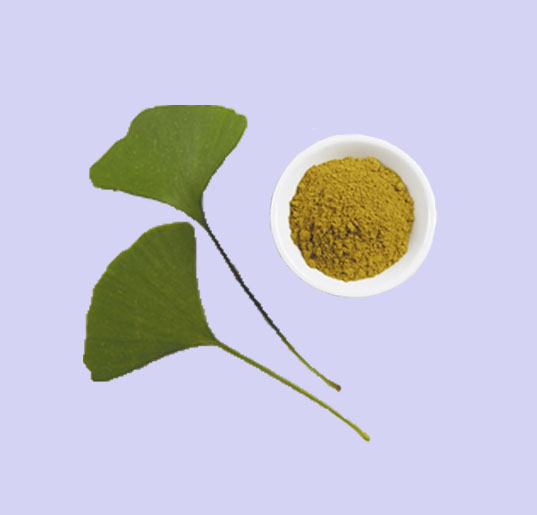 銀杏葉提取物